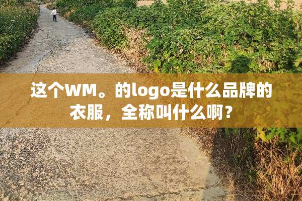 这个WM。的logo是什么品牌的衣服，全称叫什么啊？