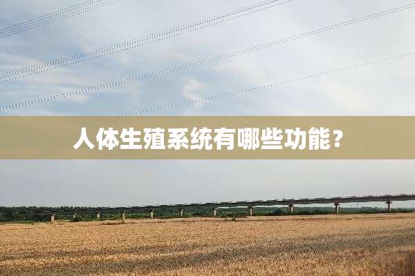 人体生殖系统有哪些功能？