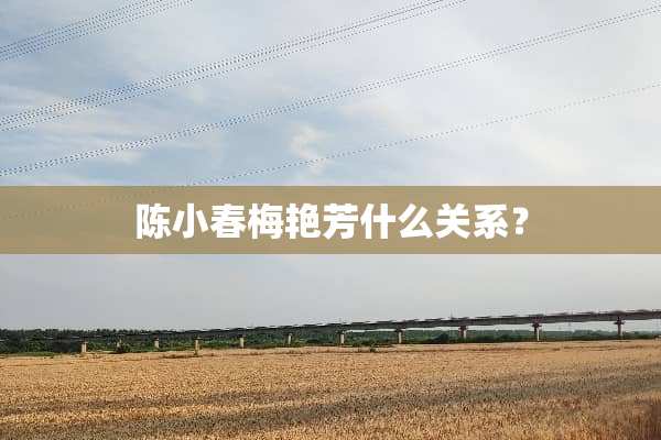 陈小春梅艳芳什么关系？