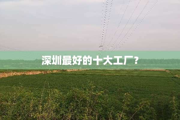 深圳最好的十大工厂？