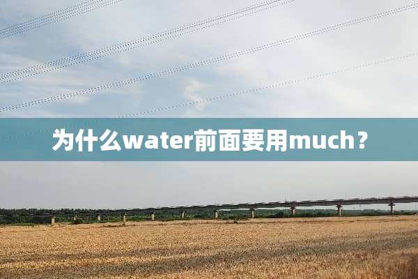 为什么water前面要用much？