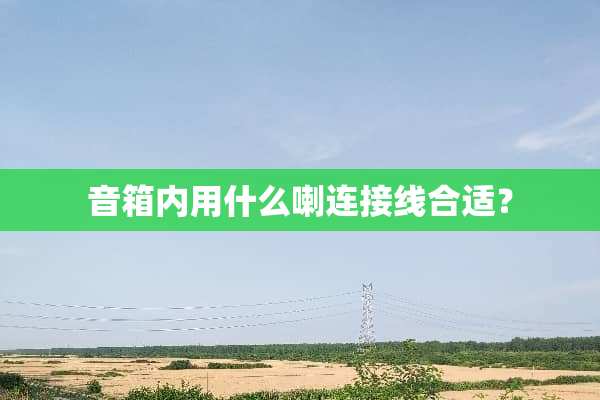 音箱内用什么喇连接线合适？