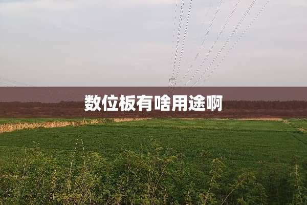 数位板有啥用途啊
