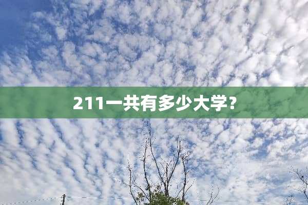 211一共有多少大学？