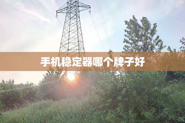 手机稳定器哪个牌子好