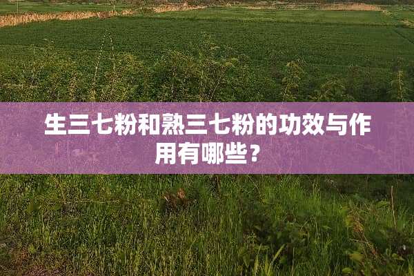 生三七粉和熟三七粉的功效与作用有哪些？