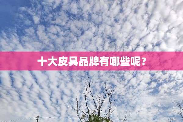 十大皮具品牌有哪些呢？