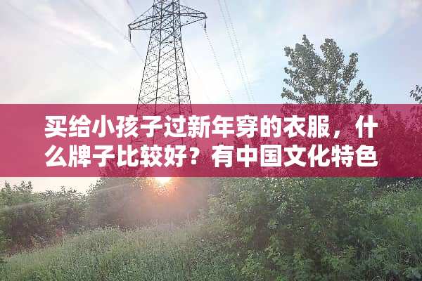 买给小孩子过新年穿的衣服，什么牌子比较好？有中国文化特色的有吗？