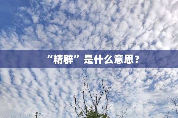 “精辟”是什么意思？
