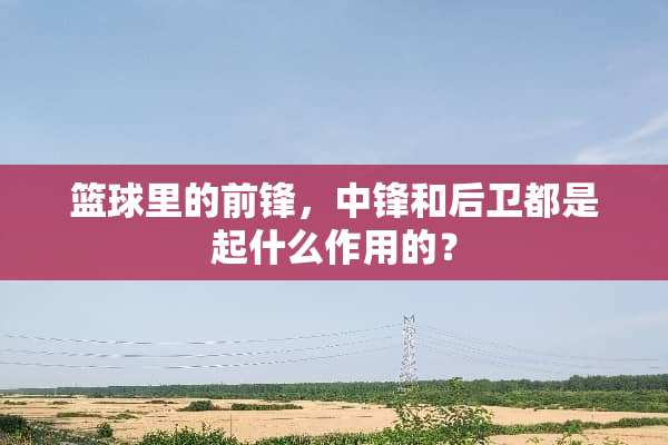 篮球里的前锋，中锋和后卫都是起什么作用的？