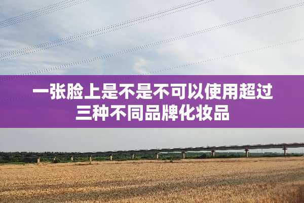 一张脸上是不是不可以使用超过三种不同品牌化妆品