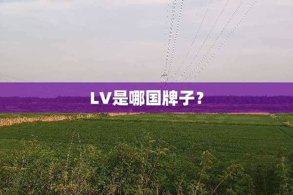 LV是哪国牌子？