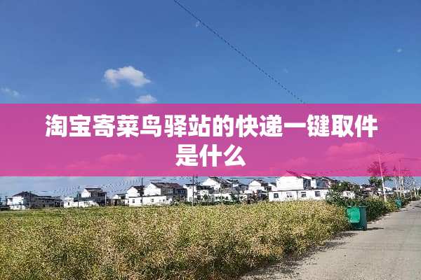 淘宝寄菜鸟驿站的快递一键取件是什么