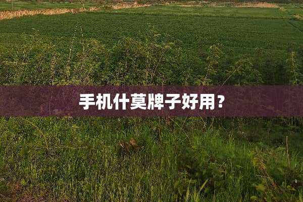 手机什莫牌子好用？