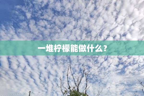 一堆柠檬能做什么？