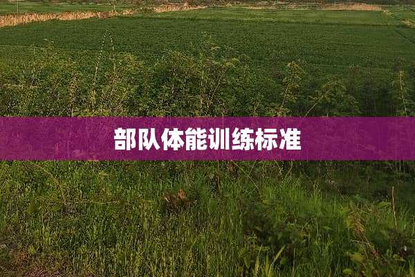 **体能训练标准