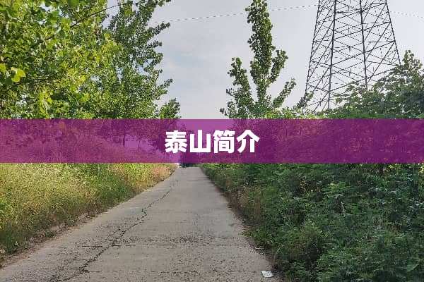 泰山简介