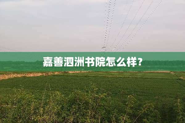 嘉善泗洲书院怎么样？
