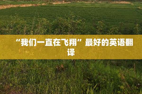 “我们一直在飞翔”最好的英语翻译