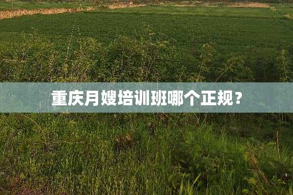 重庆月嫂培训班哪个正规？