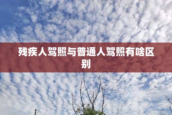残疾人驾照与普通人驾照有啥区别