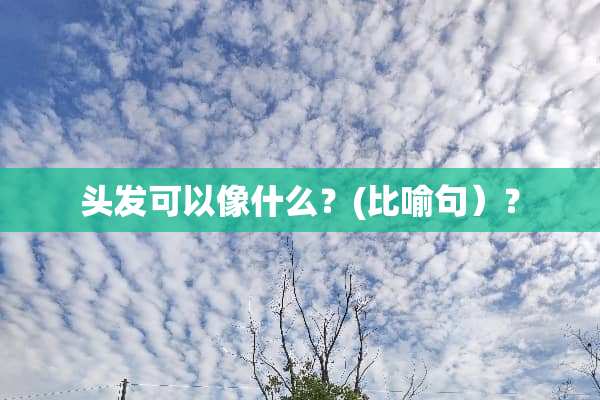 头发可以像什么？(比喻句）？
