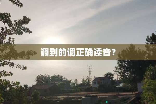 调到的调正确读音？