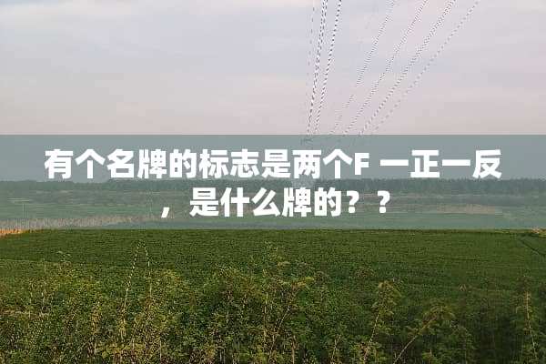 有个名牌的标志是两个F 一正一反，是什么牌的？？
