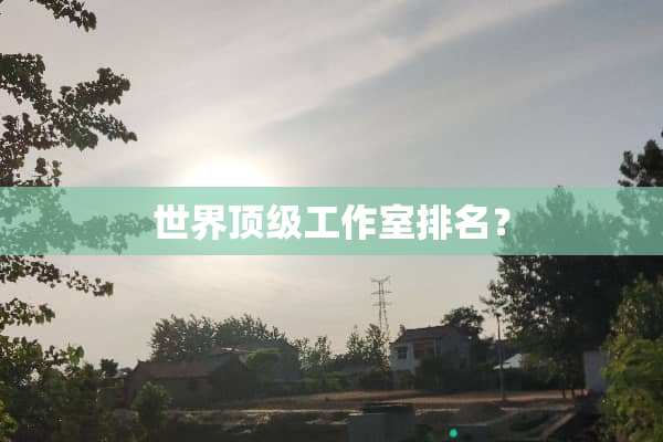 世界**工作室排名？