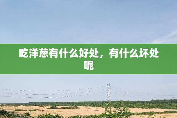 吃洋葱有什么好处，有什么坏处呢