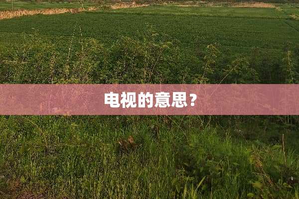 电视的意思？