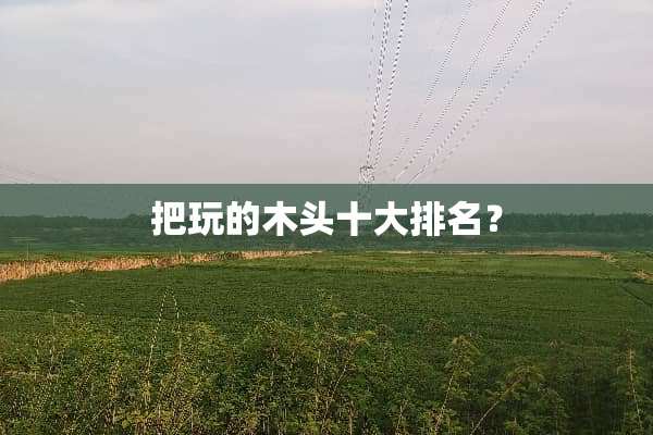 把玩的木头十大排名？