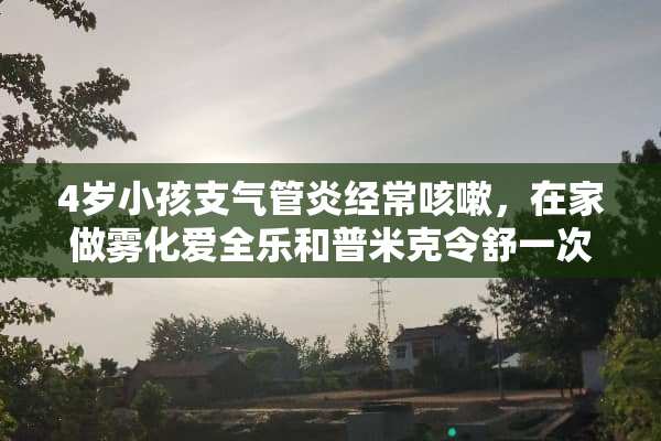 4岁小孩支气管炎经常咳嗽，在家做雾化爱全乐和普米克令舒一次应该给多少用量
