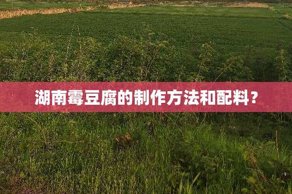湖南霉豆腐的制作方法和配料？