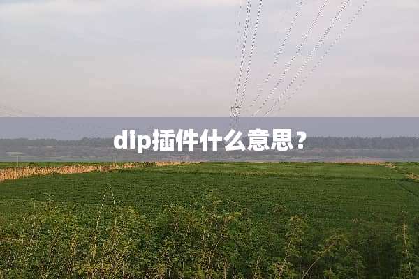 dip插件什么意思？