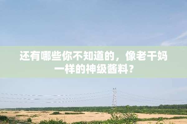 还有哪些你不知道的，像老干妈一样的神级酱料？