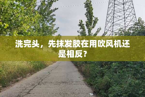 洗完头，先抹发胶在用吹风机还是相反？