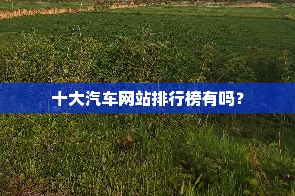 十大汽车网站排行榜有吗？