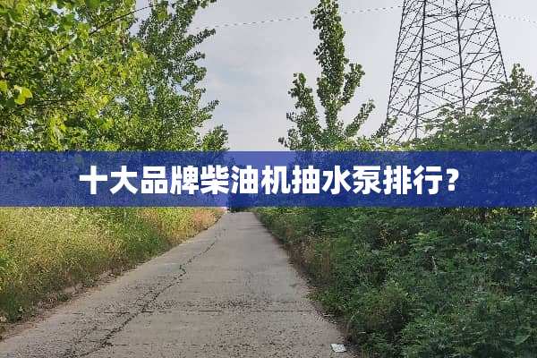 十大品牌柴油机抽水泵排行？