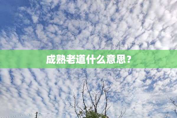 成熟老道什么意思？