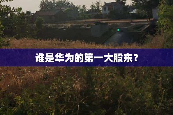 谁是华为的第一大股东？