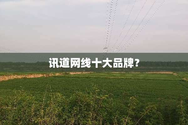 讯道网线十大品牌？