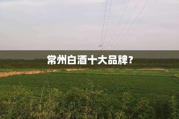 常州白酒十大品牌？