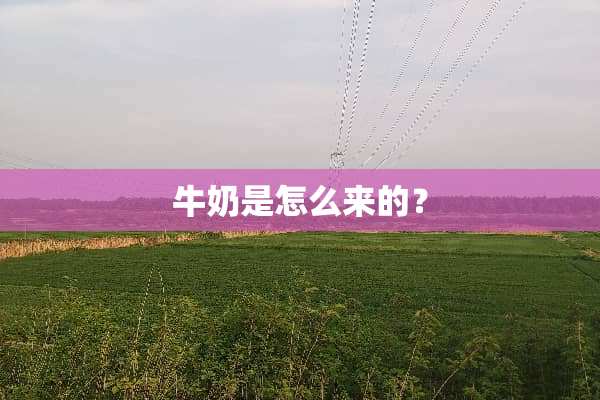 牛奶是怎么来的？