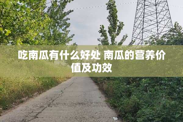 吃南瓜有什么好处 南瓜的营养价值及功效