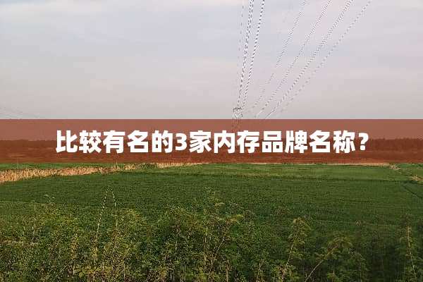 比较有名的3家内存品牌名称？