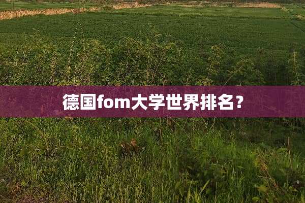 德国fom大学世界排名？