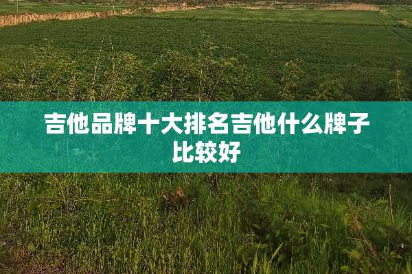 吉他品牌十大排名吉他什么牌子比较好