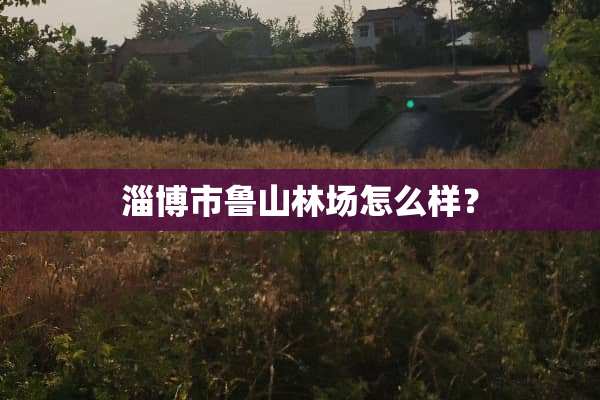 淄博市鲁山林场怎么样？
