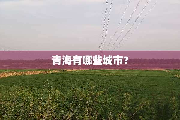 青海有哪些城市？